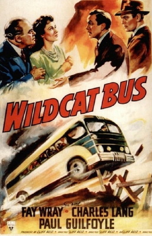 Wildcat Bus