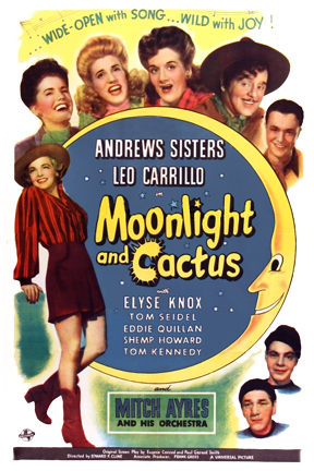 Moonlight and Cactus