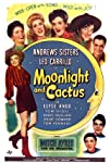 Moonlight and Cactus