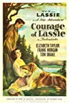 Courage of Lassie