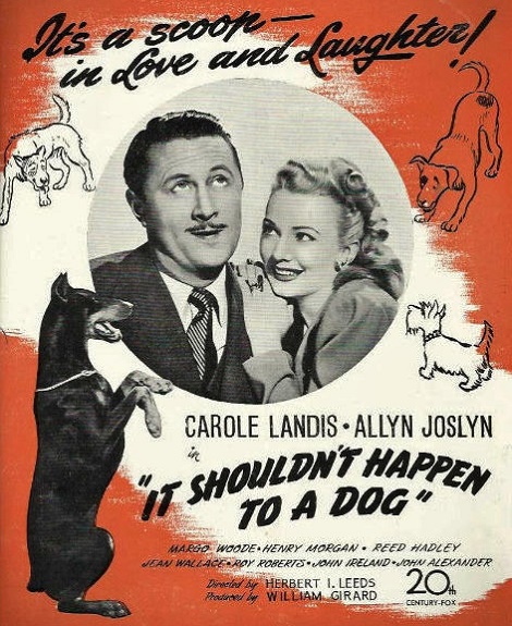 It Shouldn't Happen to a Dog