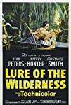 Lure of the Wilderness