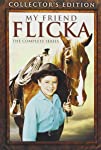 My Friend Flicka