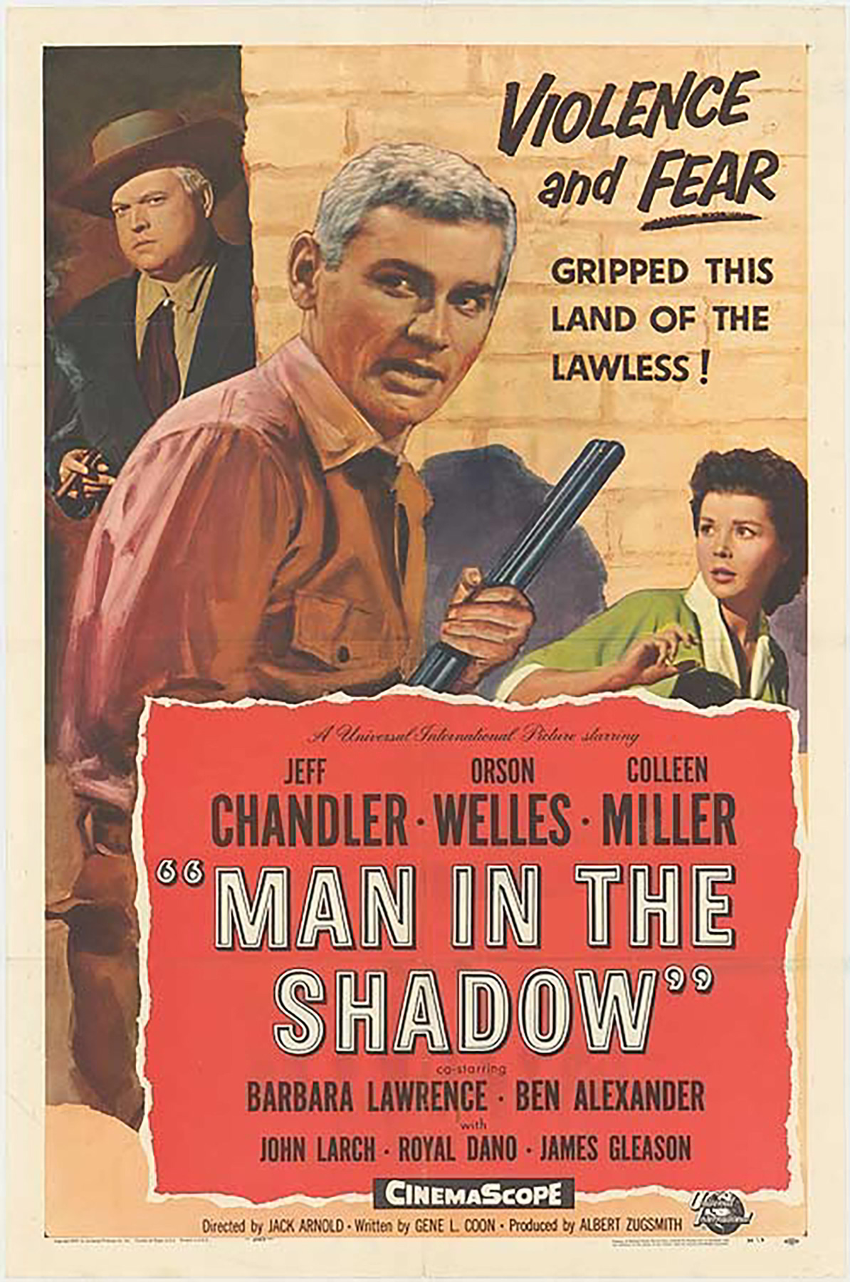 Man in the Shadow