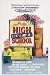 High School Confidential!