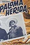 Paloma herida
