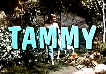 Tammy