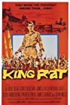 King Rat