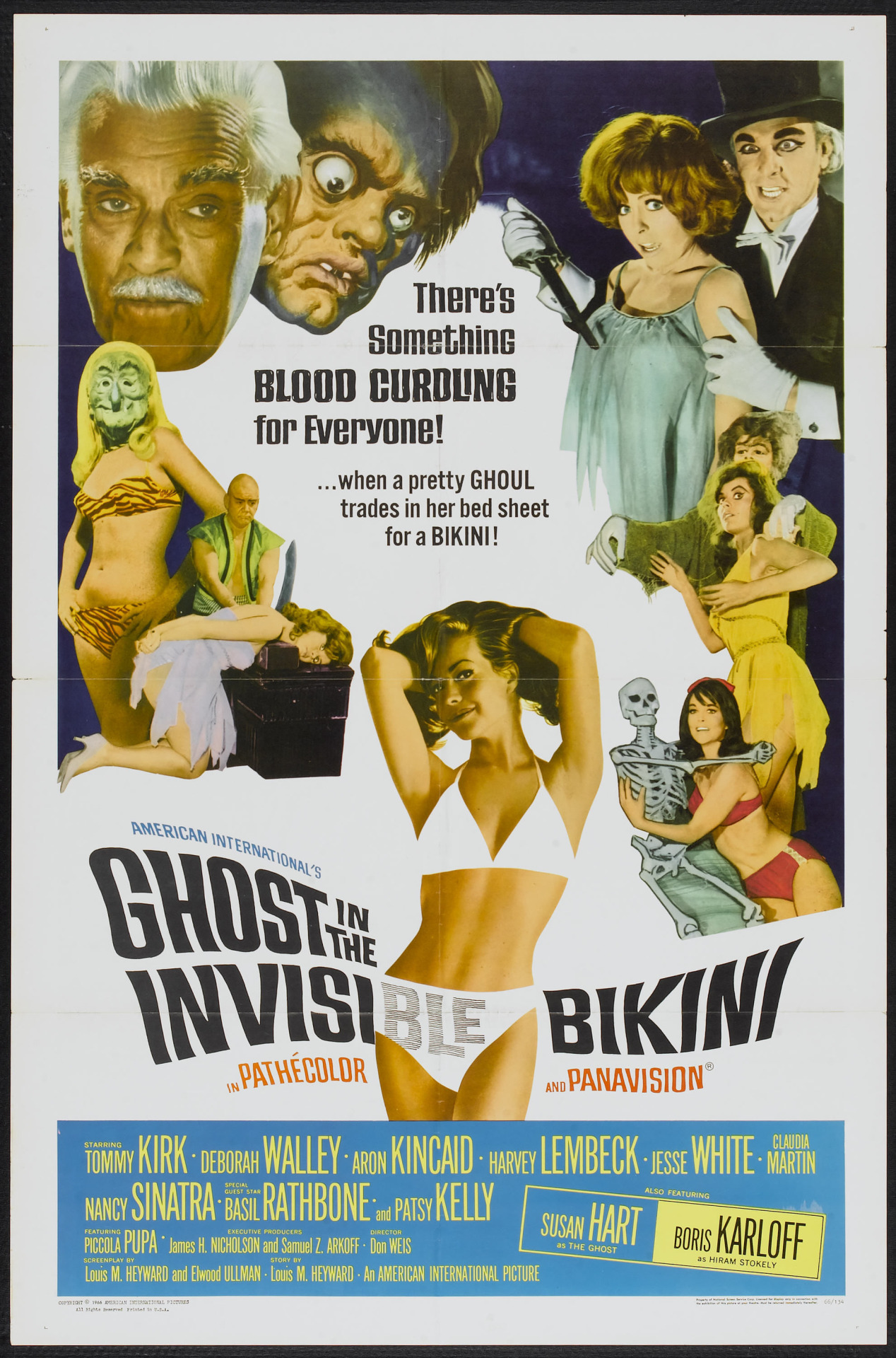 The Ghost in the Invisible Bikini