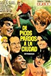 De Picos Pardos a la ciudad