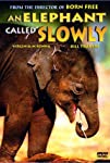 An Elephant Called Slowly