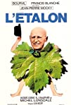 L'étalon