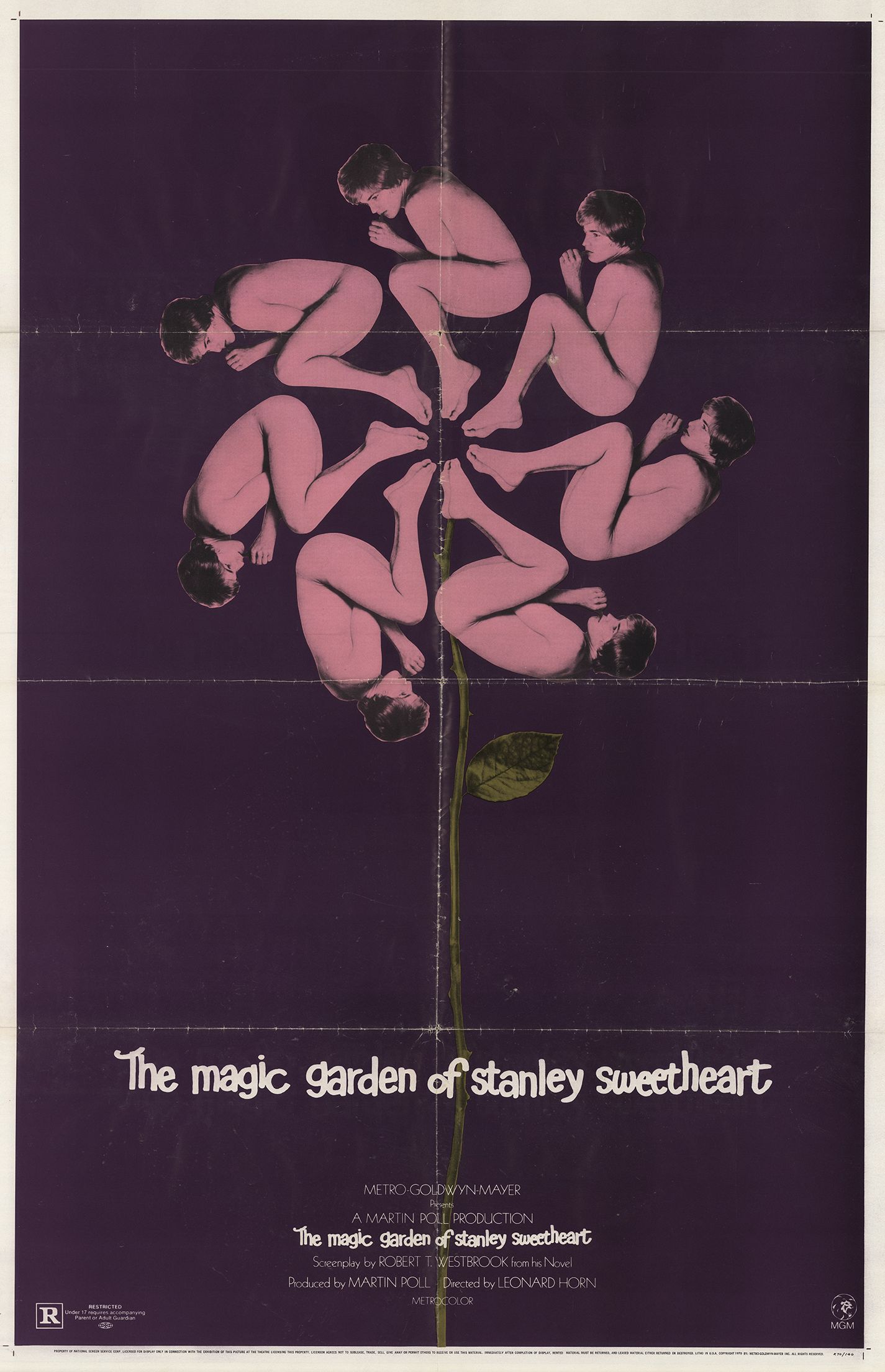 The Magic Garden of Stanley Sweetheart