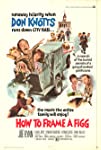 How to Frame a Figg