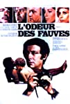 L'odeur des fauves