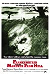 Frankenstein and the Monster from Hell