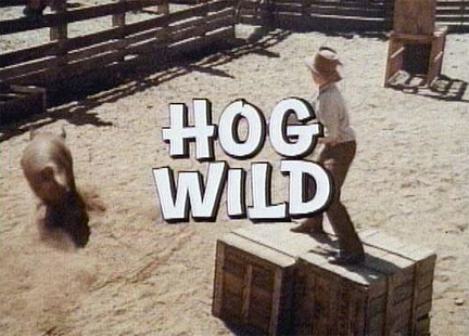 Hog Wild