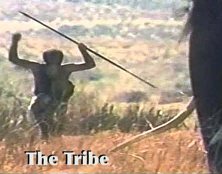 The Tribe