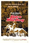 Ride a Wild Pony