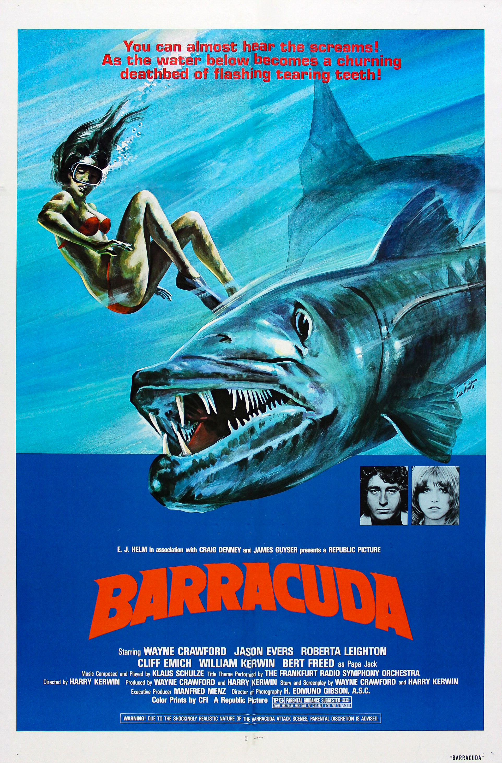 Barracuda