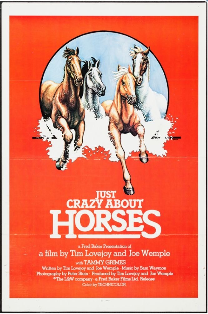 Just Crazy About Horses