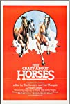Just Crazy About Horses