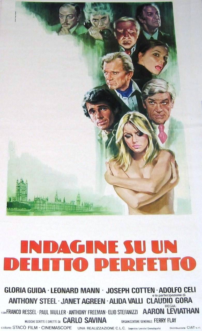 Indagine su un delitto perfetto