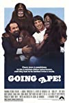 Going Ape!