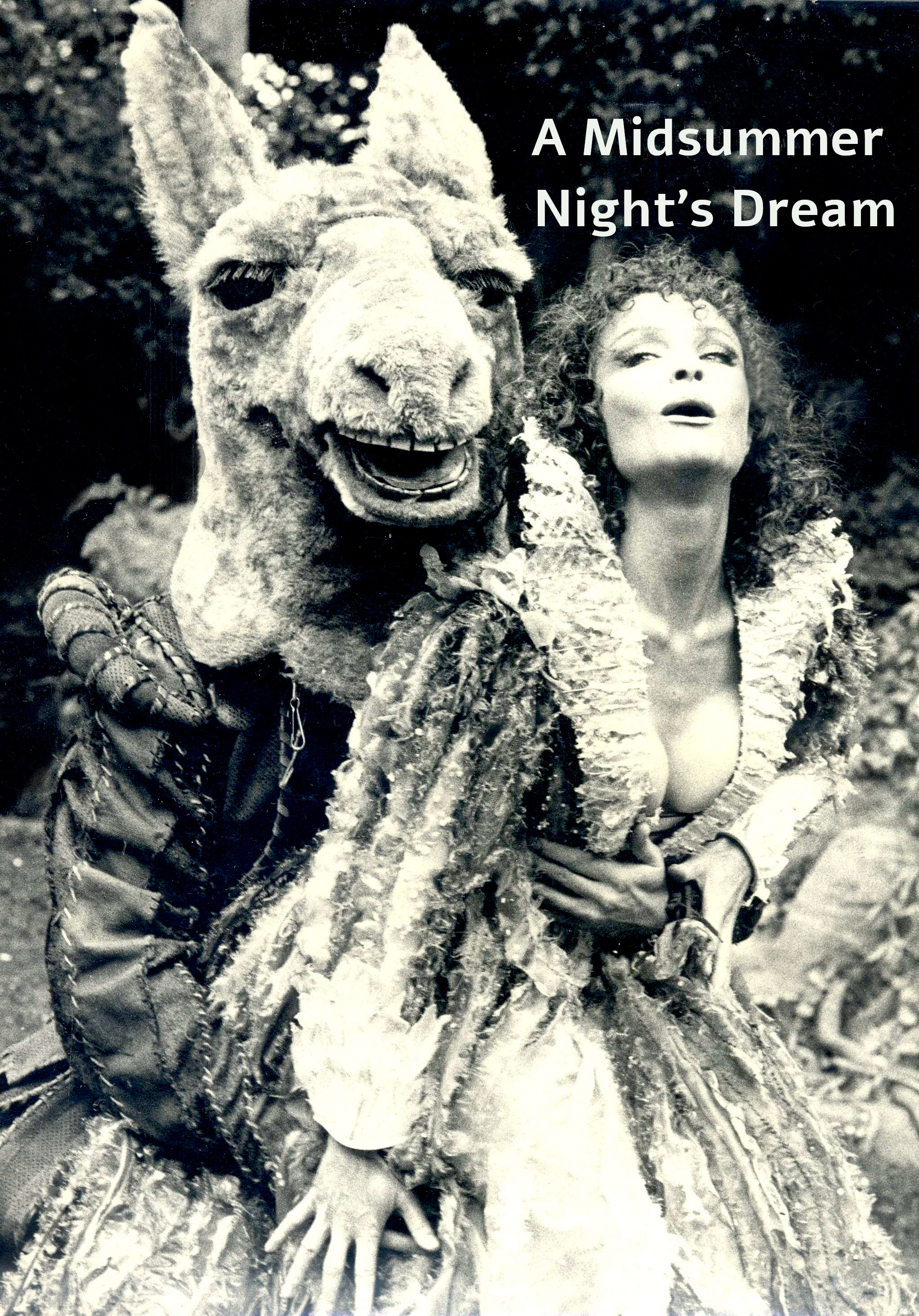 A Midsummer Night's Dream