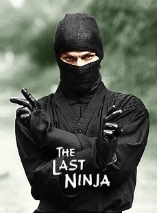 The Last Ninja