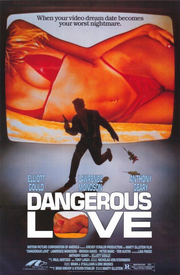 Dangerous Love