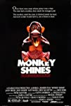 Monkey Shines