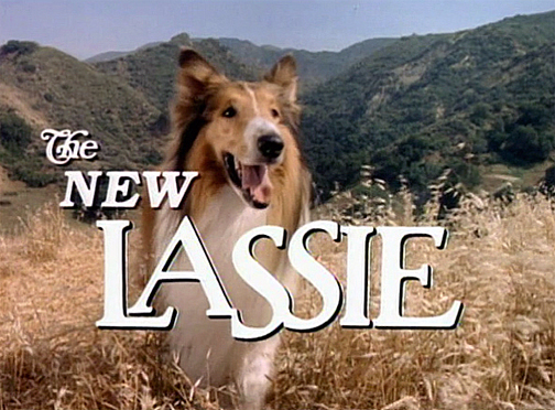 The New Lassie