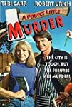 A Quiet Little Neighborhood, a Perfect Little Murder