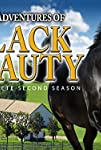 The New Adventures of Black Beauty