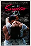 Wide Sargasso Sea
