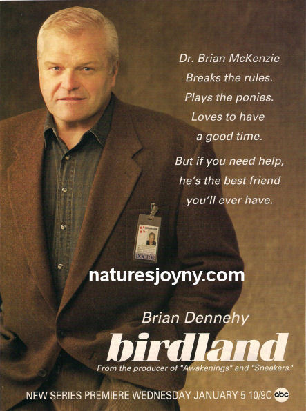 Birdland