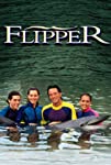 Flipper