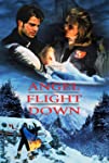 Angel Flight Down