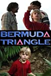 Secrets of the Bermuda Triangle