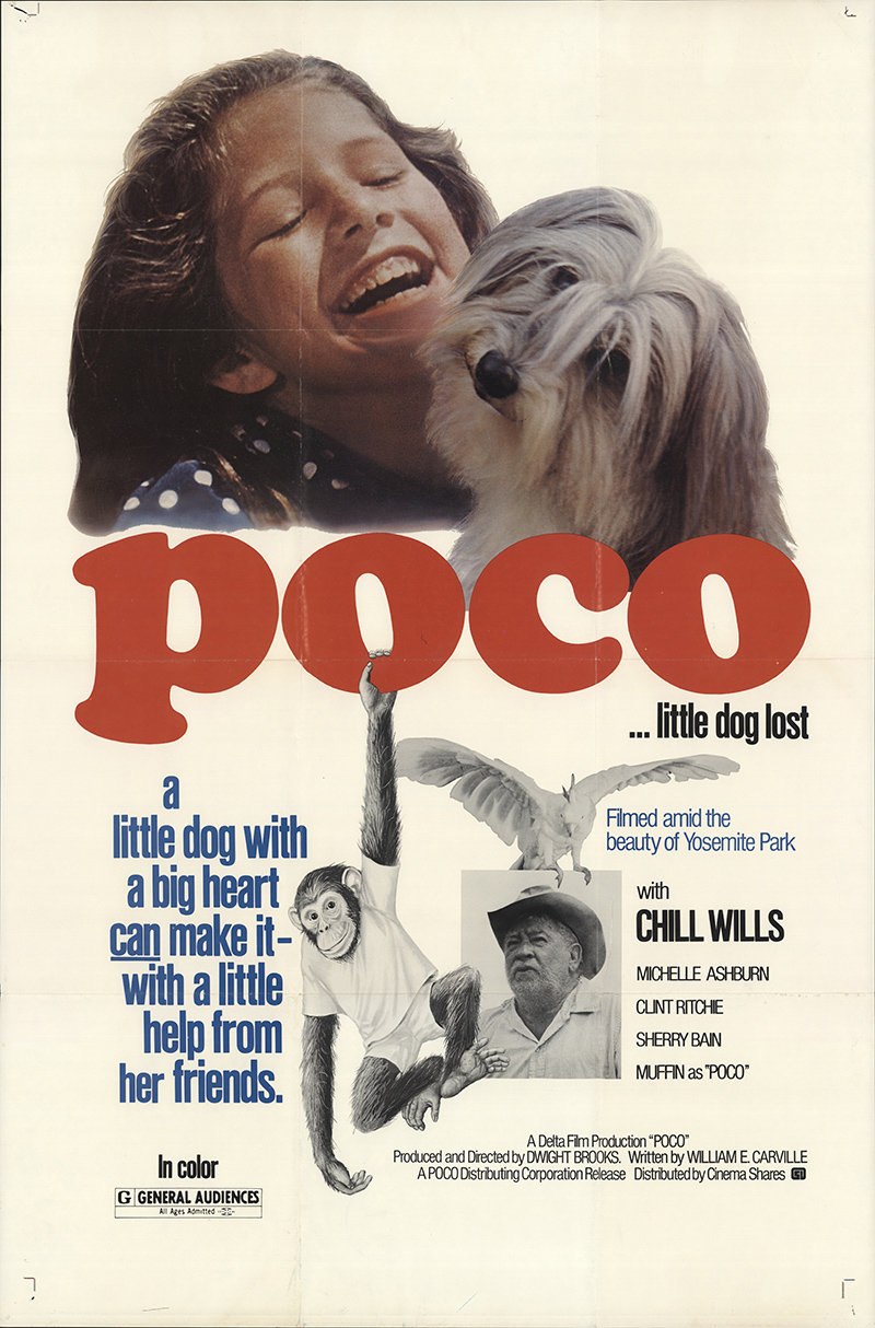 Poco... Little Dog Lost