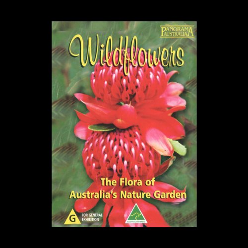 Wild Flowers