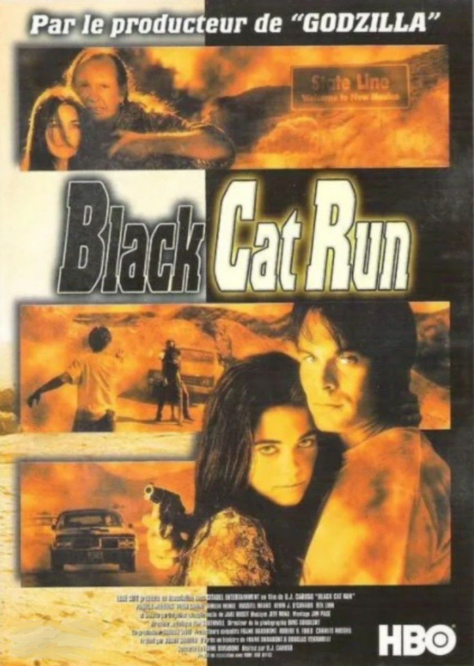 Black Cat Run