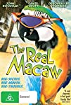 The Real Macaw