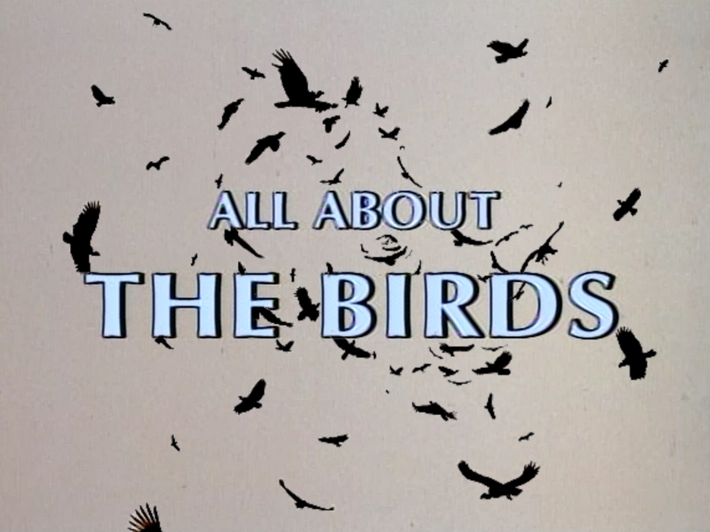 All About 'the Birds'