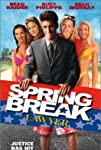 Spring Break Lawyer