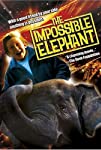 The Impossible Elephant