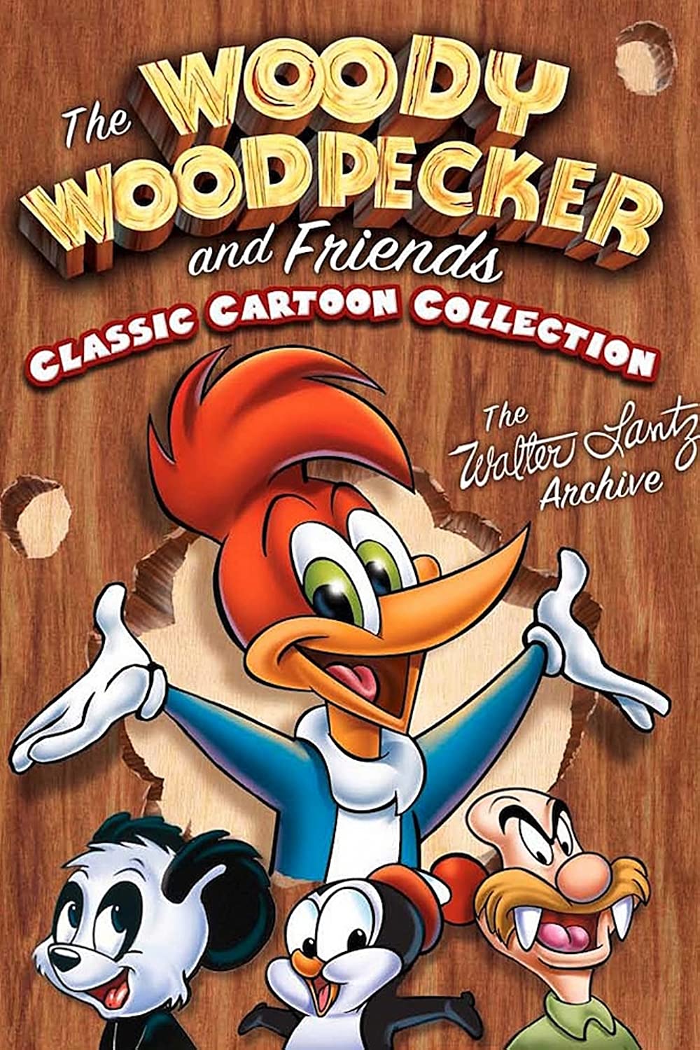 The New Woody Woodpecker Show