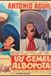 Los gemelos alborotados