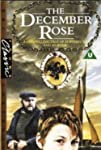 The December Rose
